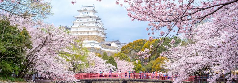 Himeji Castle with beautiful cherry blossom in Spring, Japan