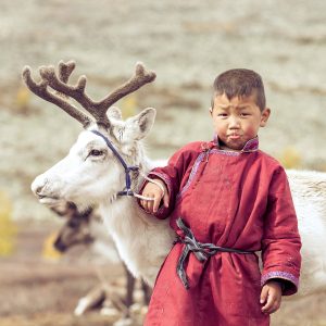 Nomadic Tsaatan child with baby reindeer in north Mongolia