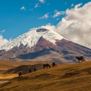 Cotopaxi, an active volcano, in the Andes