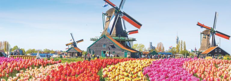 Tulip Fields, Netherlands